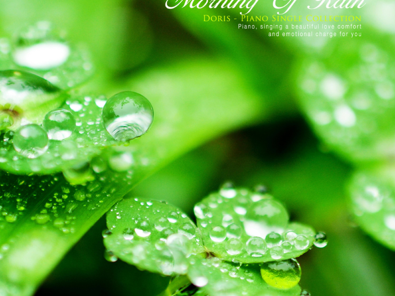 Morning rain (Single)