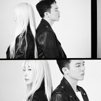 Don't Try Too Hard (Single)