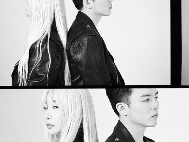 Don't Try Too Hard (Single)