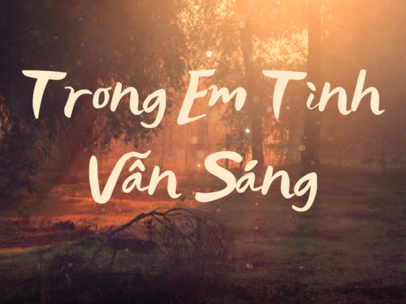 Trong Em Tình Vẫn Sáng