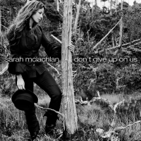 Don't Give Up On Us (Single)