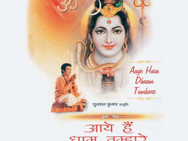 Aaye Hain Dhaam Tumhare (Single)