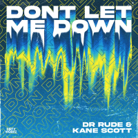 Don't Let Me Down (Single)