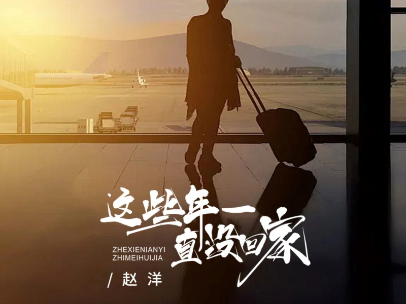 这些年一直没回家 (Single)