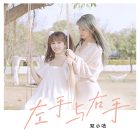 左手与右手 (DJ版) (Single)