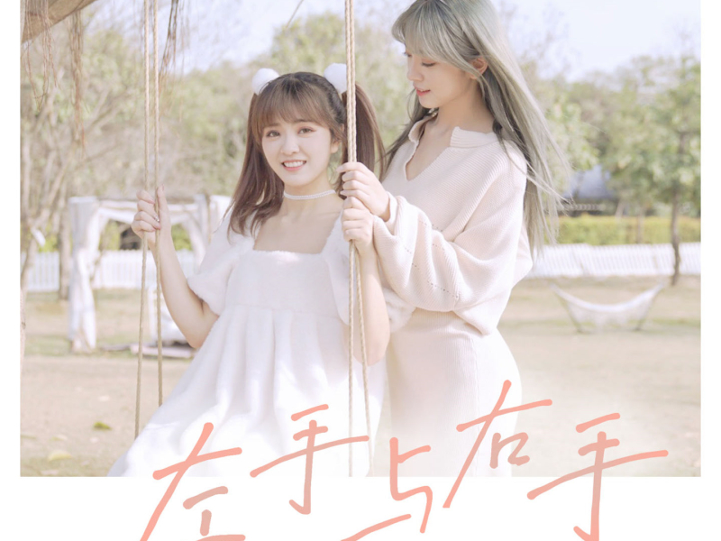 左手与右手 (DJ版) (Single)