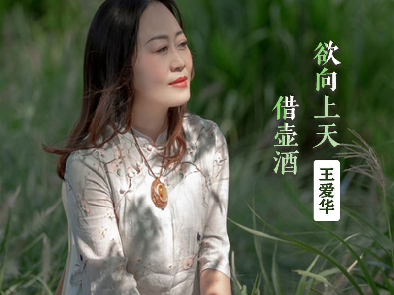 欲向上天借壶酒 (EP)