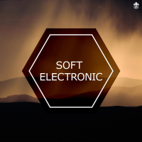 Soft Electronic (Single)