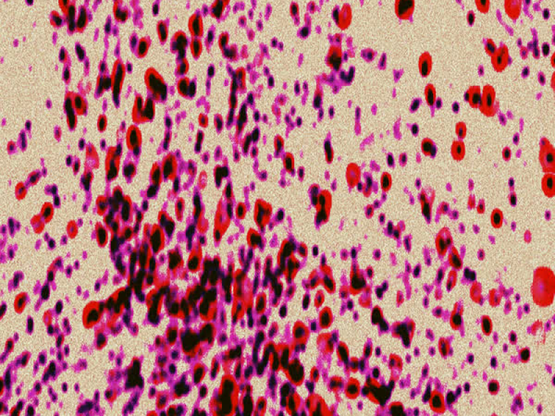 Inner Game (Blvck Spvde Remix) (Single)