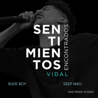 Sentimientos Encontrados (Single)
