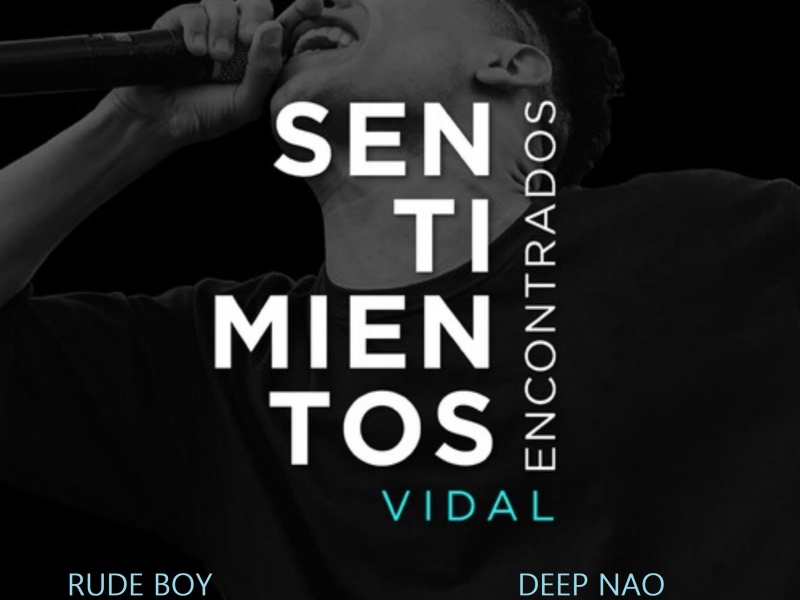 Sentimientos Encontrados (Single)
