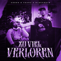 Zu viel verloren (Single)
