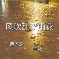 风吹乱了雨花 (Single)