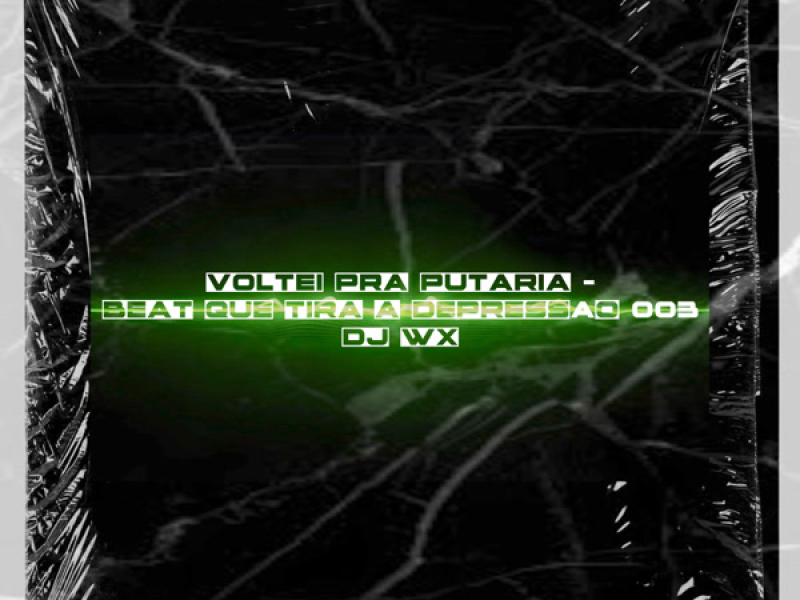 VOLTEI PRA PUTARIA BEAT QUE TIRA A DEPRESSÃO 003 (Single)