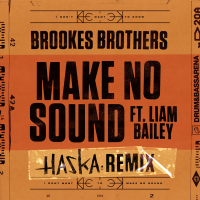 Make No Sound (Haska Remix) (Single)