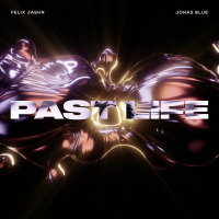 Past Life (Single)