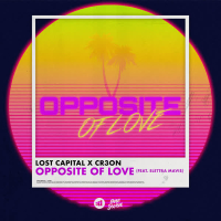 Opposite of Love (Single)