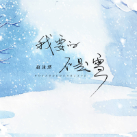 我要的不是雪 (抒情版) (Single)