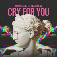 Cry for You (Single)