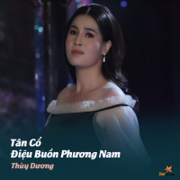 Tân Cổ Điệu Buồn Phương Nam (Single)