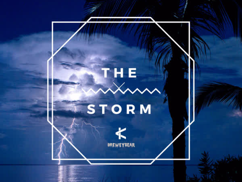 The Storm (Single)