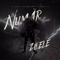 Număr zilele (Single)