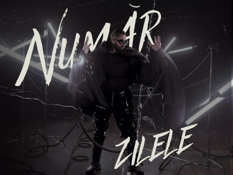 Număr zilele (Single)