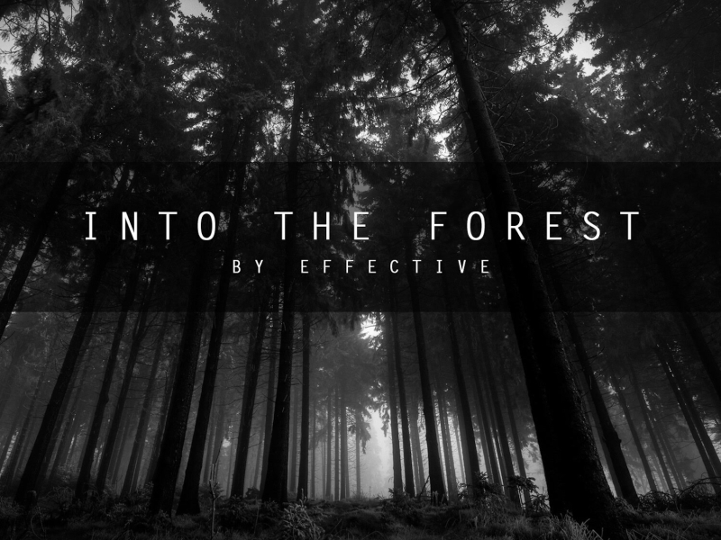 Into The Forest (Single)