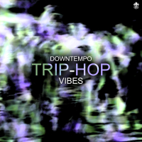 Downtempo Trip-Hop Vibes (Single)