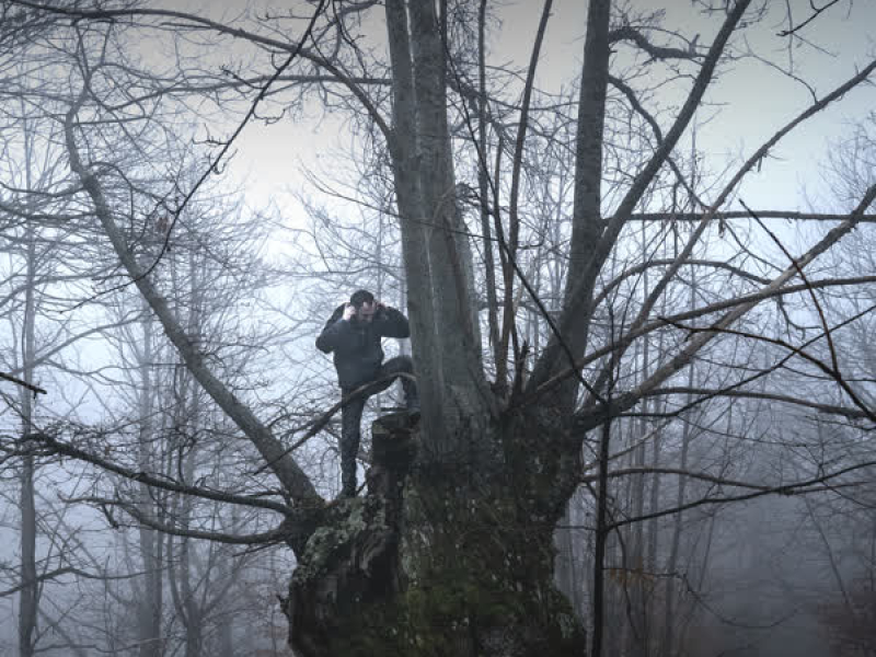 Chitarra nera (Single)