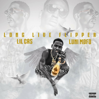 Long Live Flipper (Single)