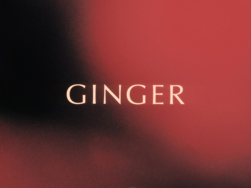 Ginger (Single)