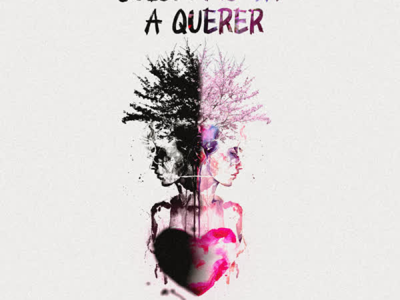 Quíen me va a querer (Single)