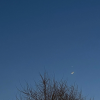 逝去的校园时光 (Single)