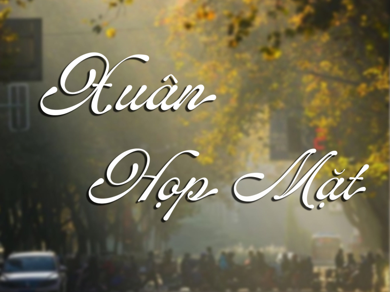 Xuân Họp Mặt (Lofi) (Single)