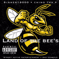 Land Of The Bee's (Single)