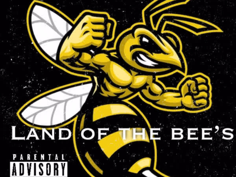 Land Of The Bee's (Single)