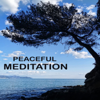 Peaceful Meditation (Single)