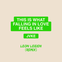 this is what falling in love feels like (Leon Leiden Remix) (Single)