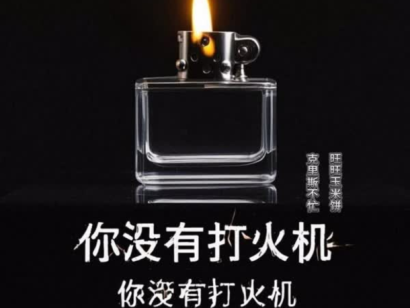 你没有打火机 (Single)