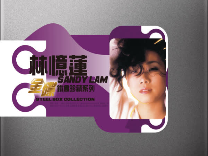 Steel Box Collection - Sandy Lam