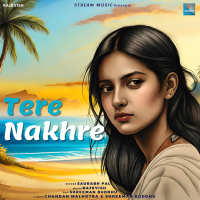 Tere Nakhre (Single)