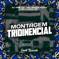 Montagem Tridinencial (Single)