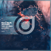 Things I've Learned (AUST Remix) (Single)