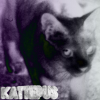 Kattepus (Single)