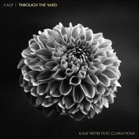 Through the Yard (Kauf Remix) (Single)