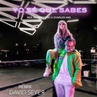 Yo Sé Que Sabes (Remix) (Single)