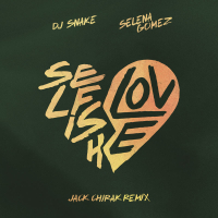 Selfish Love (Jack Chirak Remix) (Single)