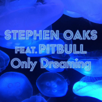 Only Dreaming (feat. Pitbull) (Single)