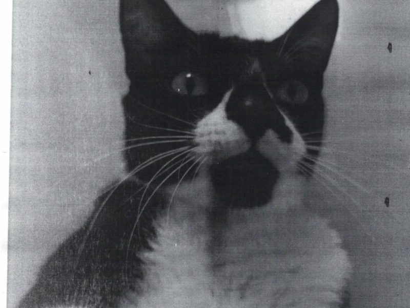 Live Tape, Vol. 1 (Live)